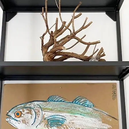 Tatil Evi Casaammari