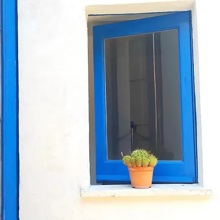 Casaammari *